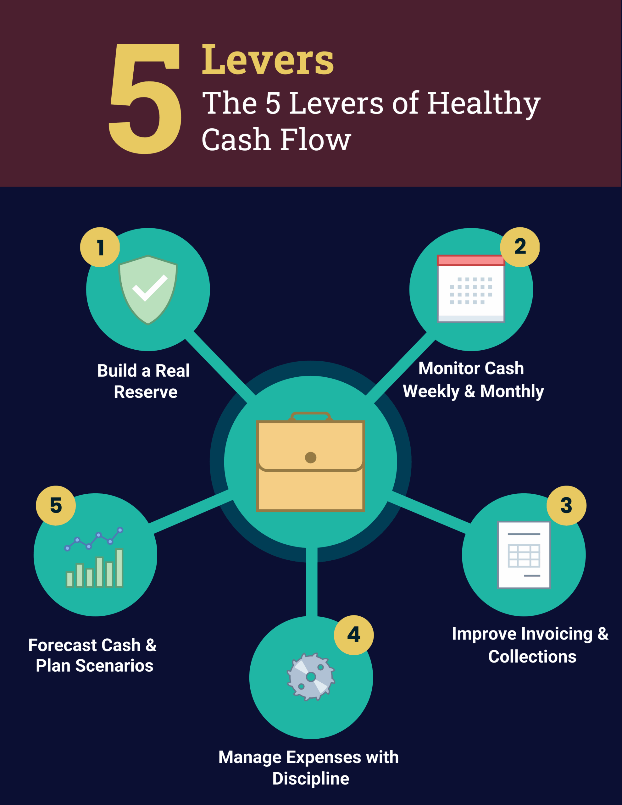 5 Levers of Healthy Cash Flow infographic